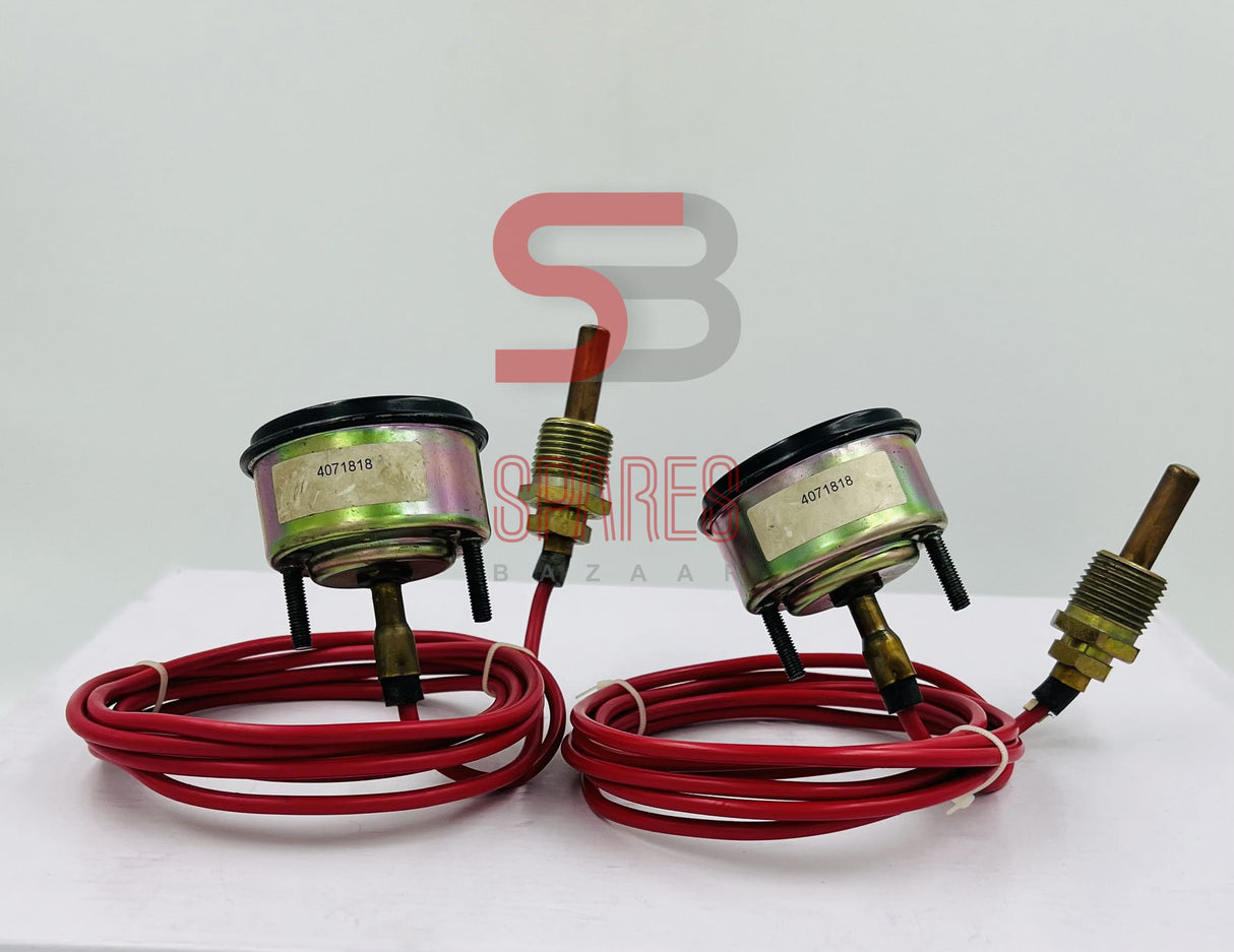 Temperature gauge 4071819